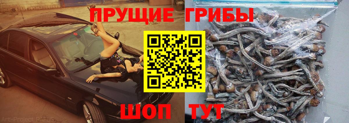 Кудымкар  Псилоцибиновые грибы ЛСД  Вход с VPN 